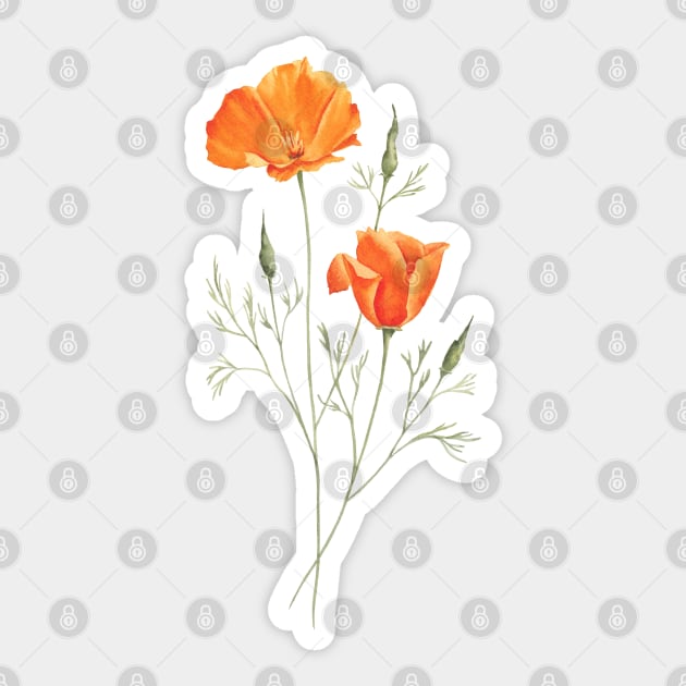 California poppies painting Sticker by InnaPatiutko